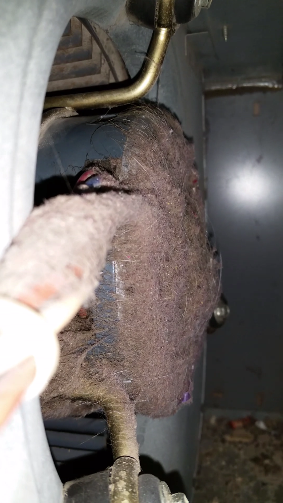 Blower Motor Deep Clean