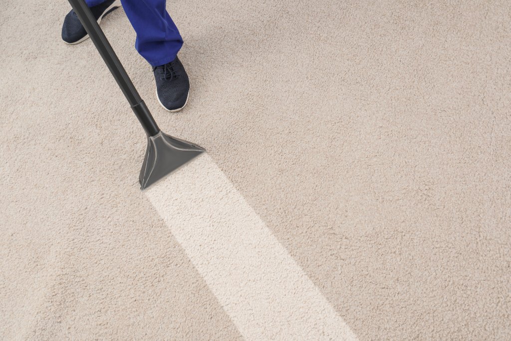 Steam Lion Carpet & Furniture Cleaning Professionals