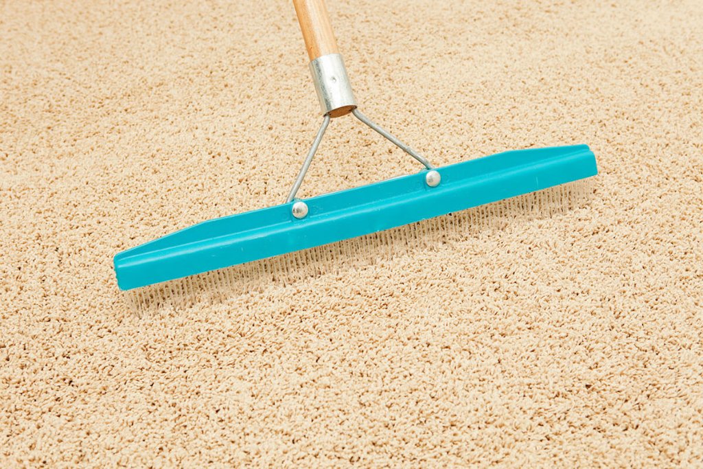 Carpet agitation with grooming rake — Steam Lion