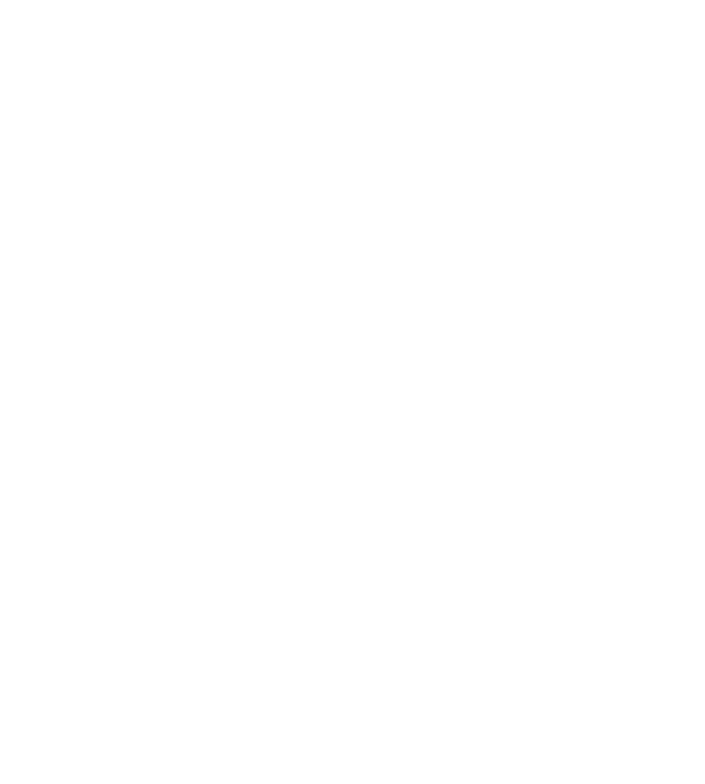 Steam Lion - Carpet & Furniture Cleaning Professionals