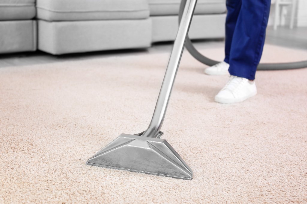 Why carpet cleaning matters — Steam Lion Glenview