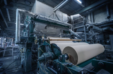 PAPEL E CELULOSE