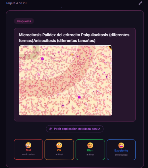 Flashcards con imágenes