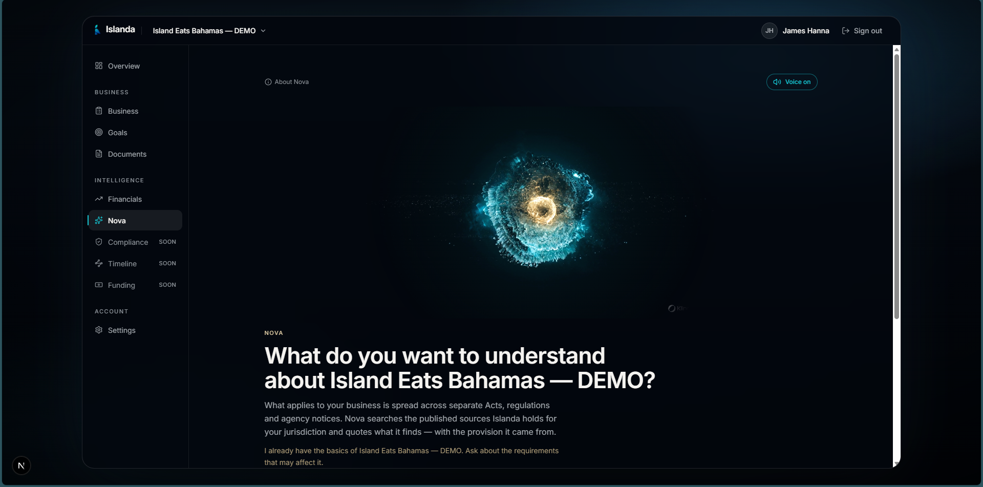 Islanda business intelligence dashboard showing navigation, Nova AI assistant, and business overview