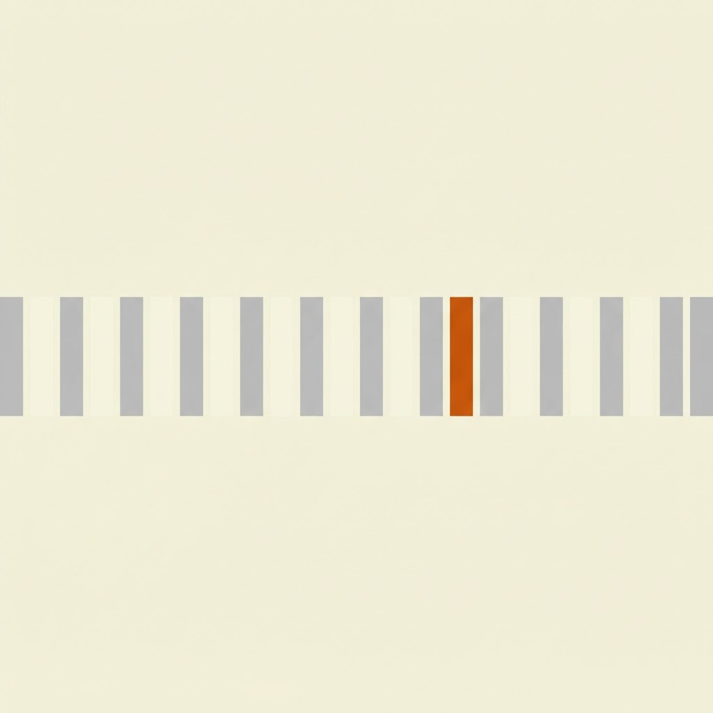 Ongoing Support — The Creative Edit