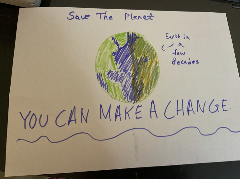 Student advocacy plan 5 — British International School Pilot (UAE)