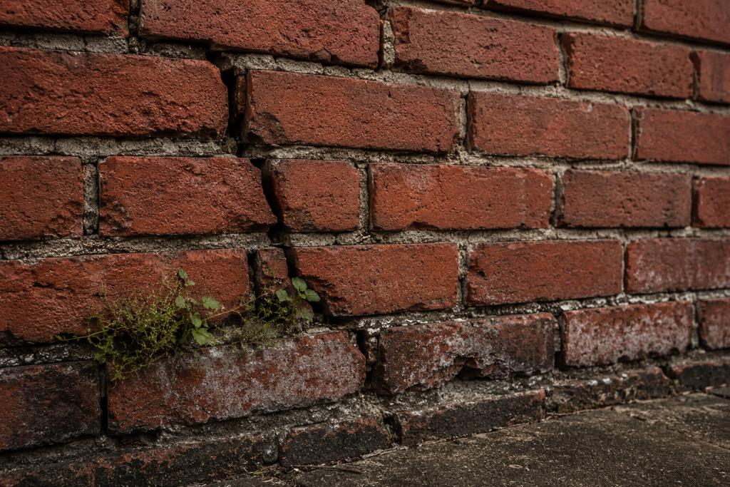 AFTER: clean tuckpointed mortar joints