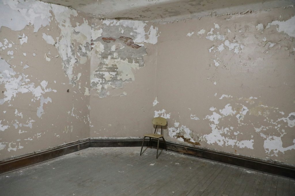 Mold Remediation