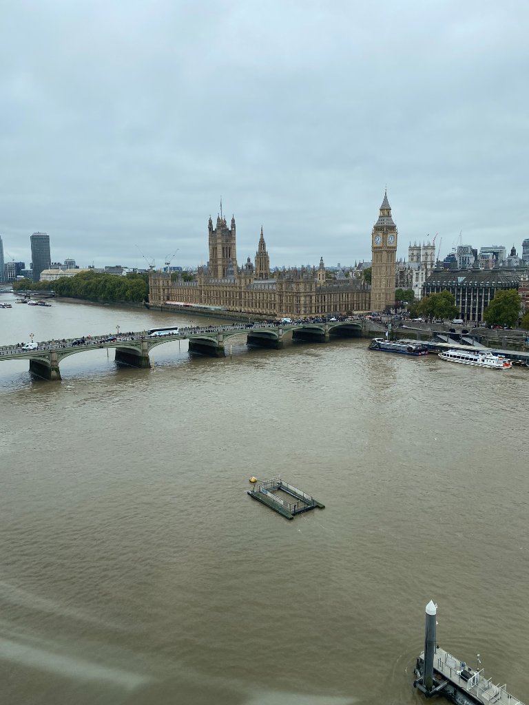 Westminster from the London Eye