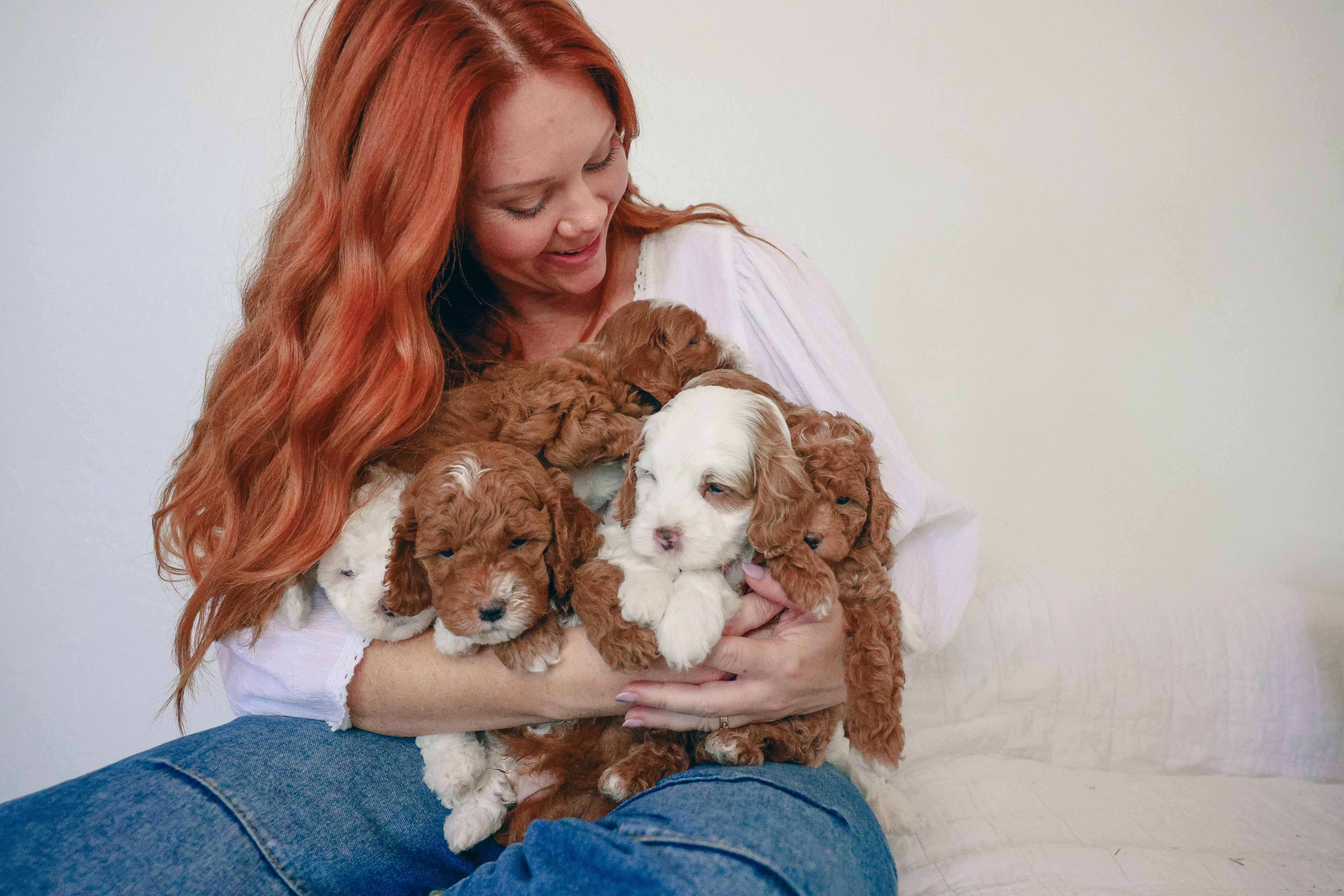 Shannon Kuiper and family with Goldendoodle puppies