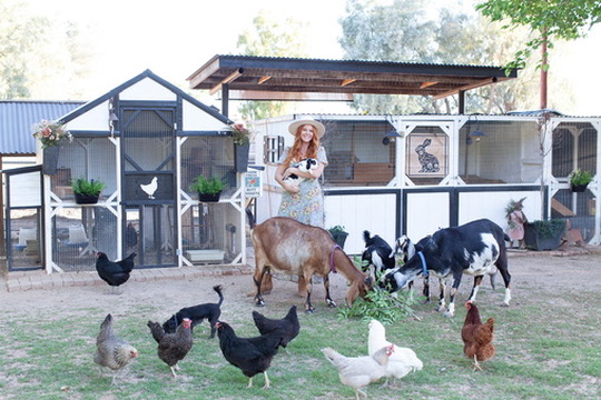 K Farm city farm in Chandler, Arizona at golden hour
