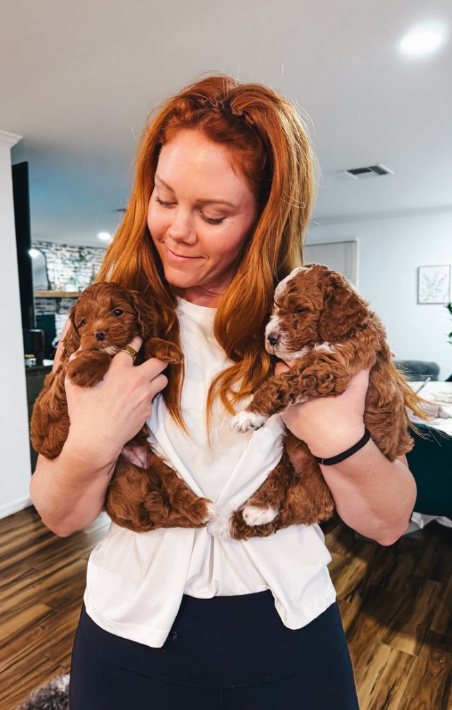 Shannon Kuiper and family with Goldendoodle puppies