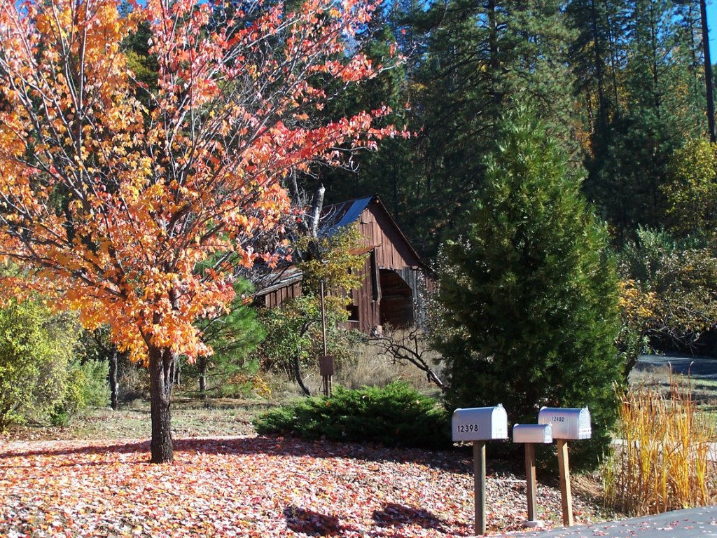 Nevada County