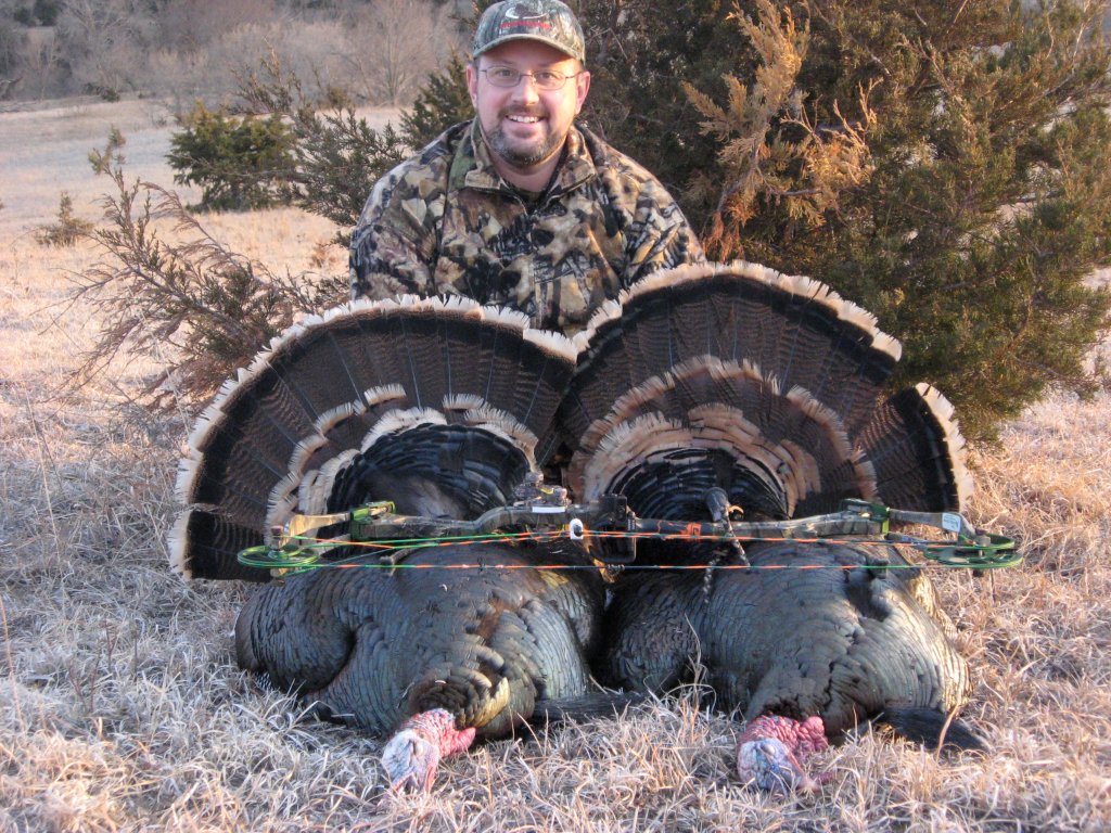 Merriam's Turkey — Two Birds
