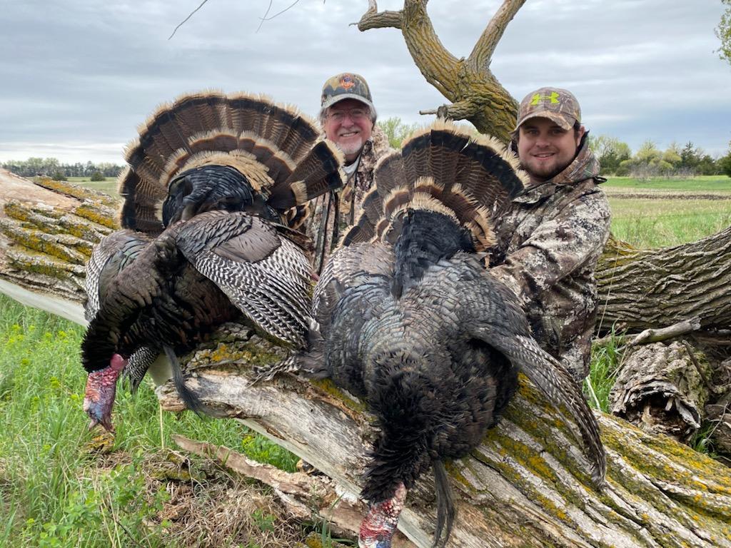 Merriam's Turkey — One Bird