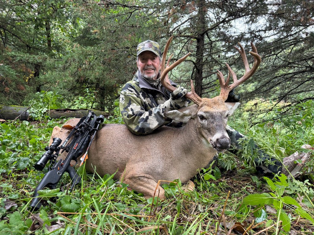 Early Season Archery Whitetail