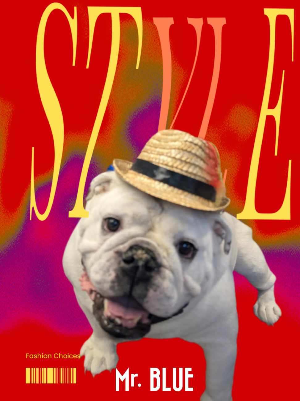 Mr. Blue - Style