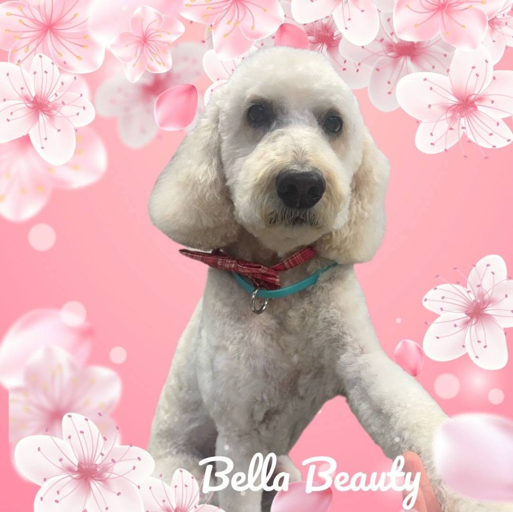 Bella
