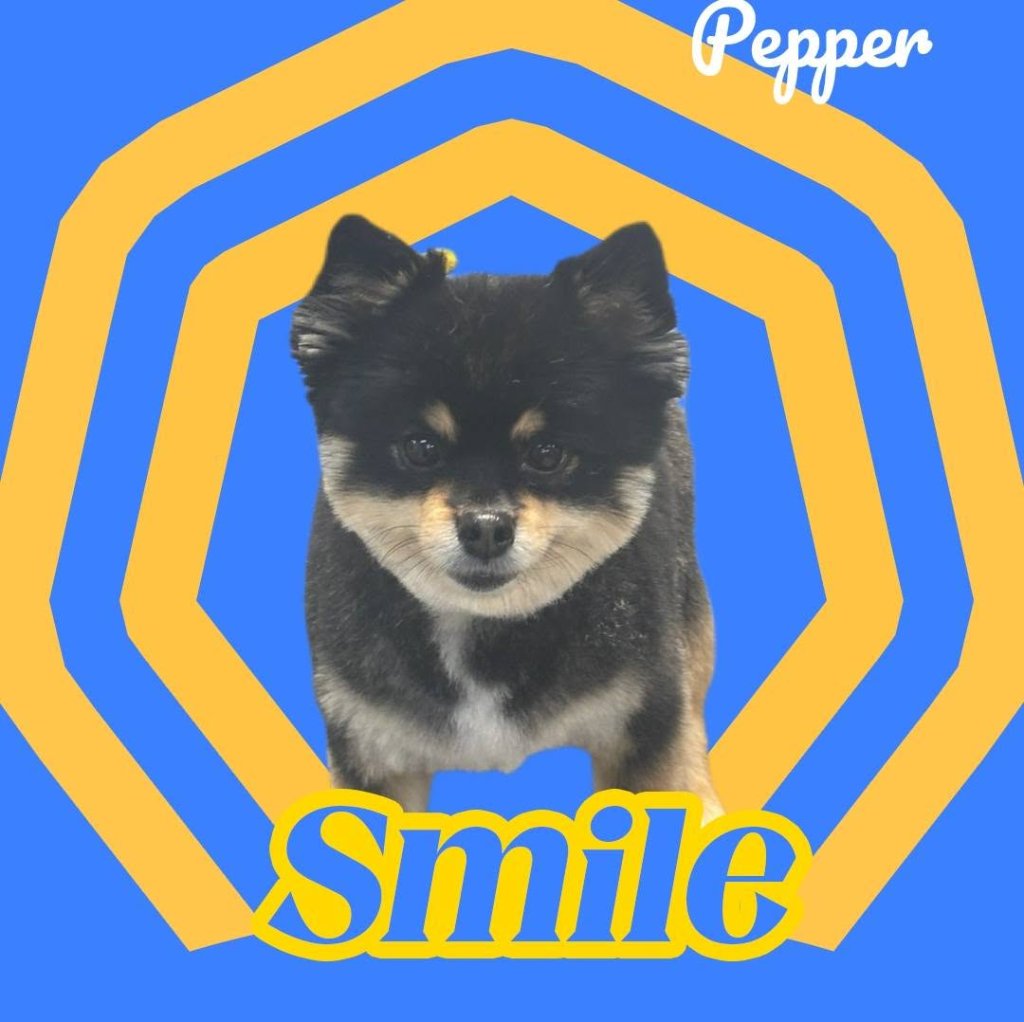 Pepper