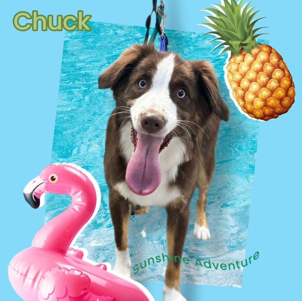 Chuck