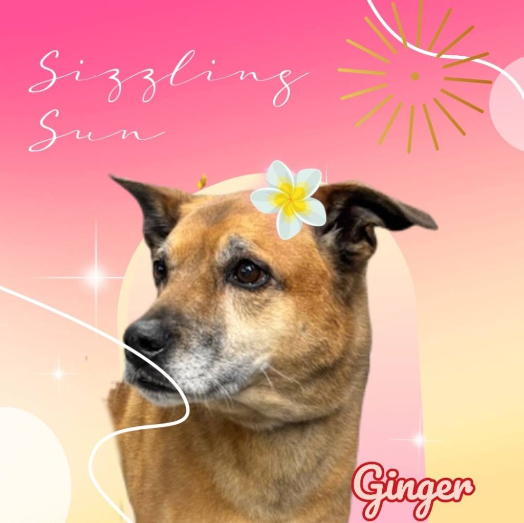 Ginger