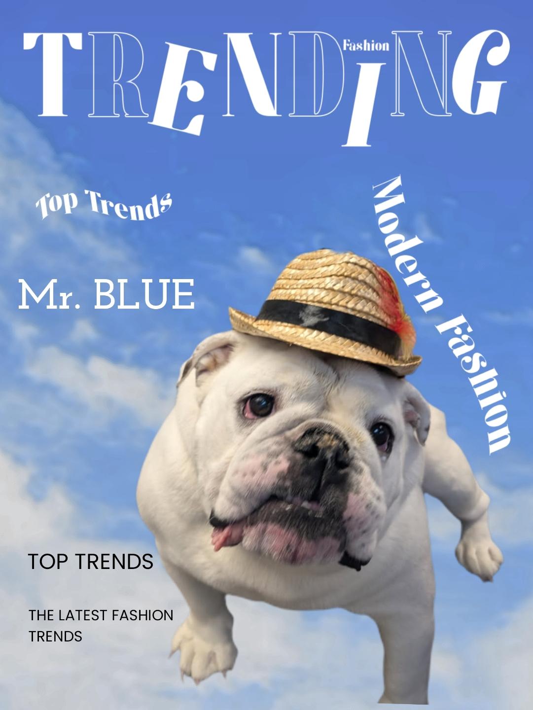 Mr. Blue - Top Trends