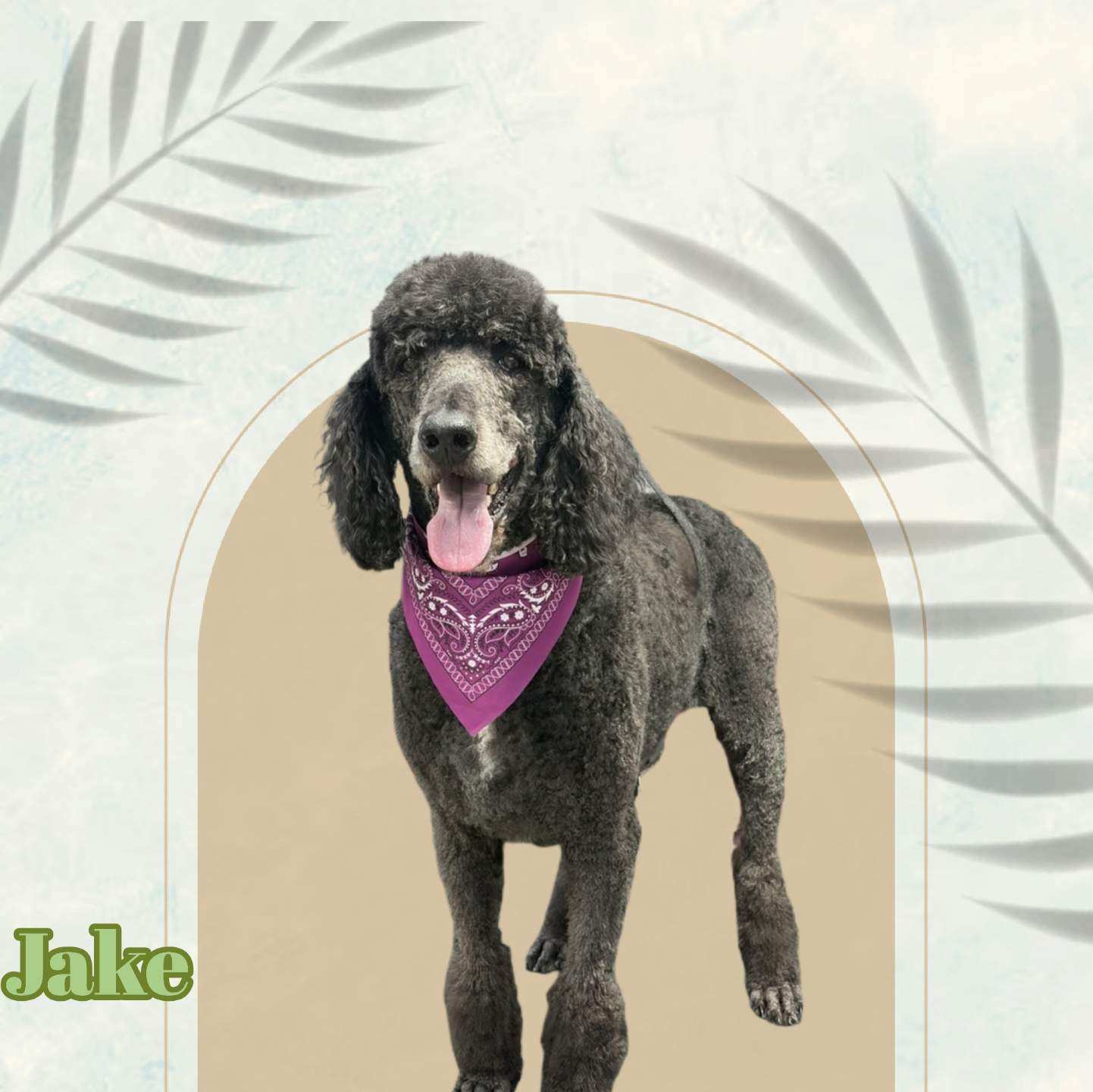 Jake