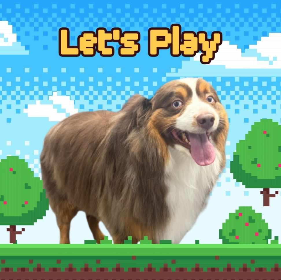 Let's Play