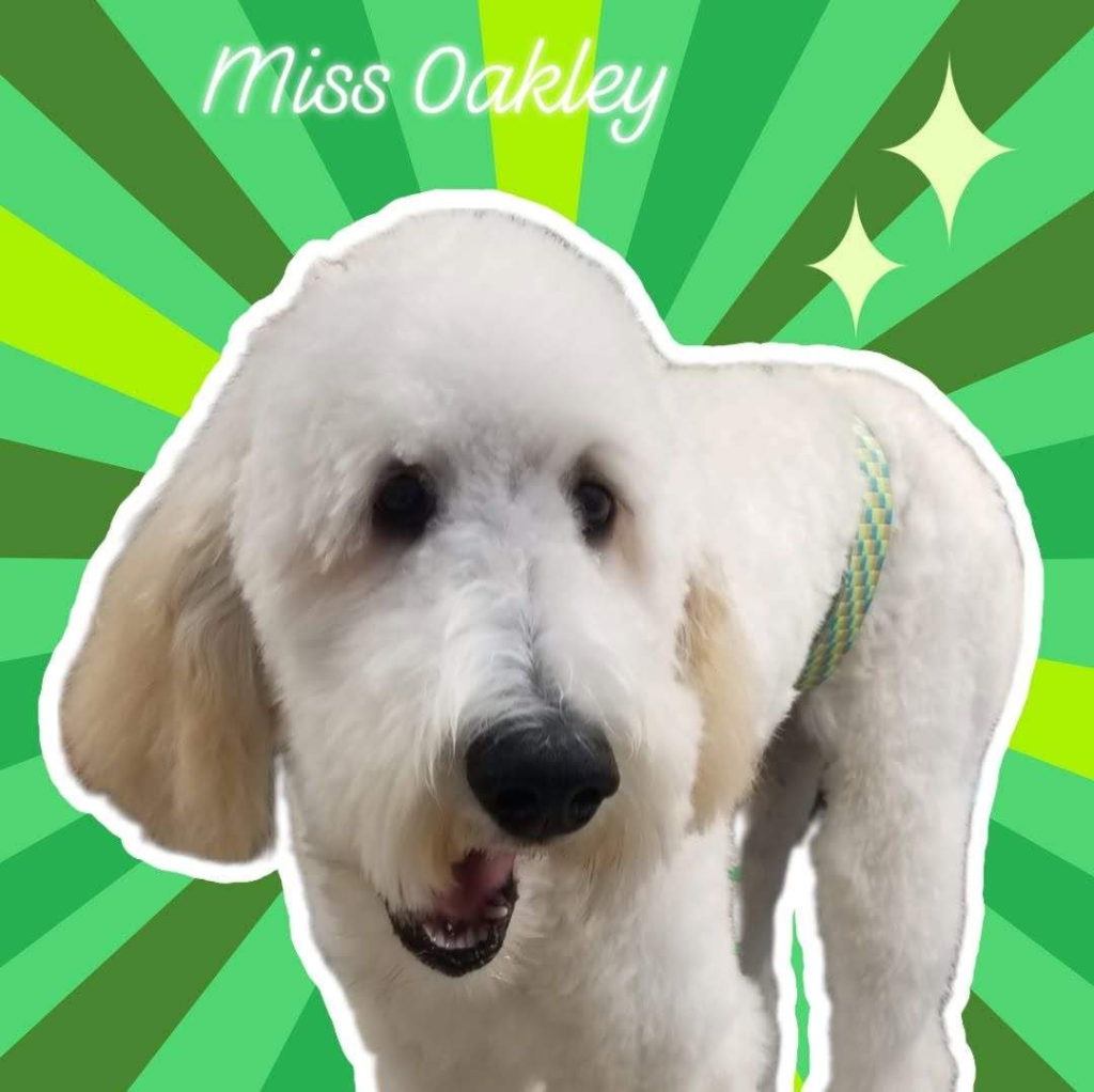 Miss Oakley
