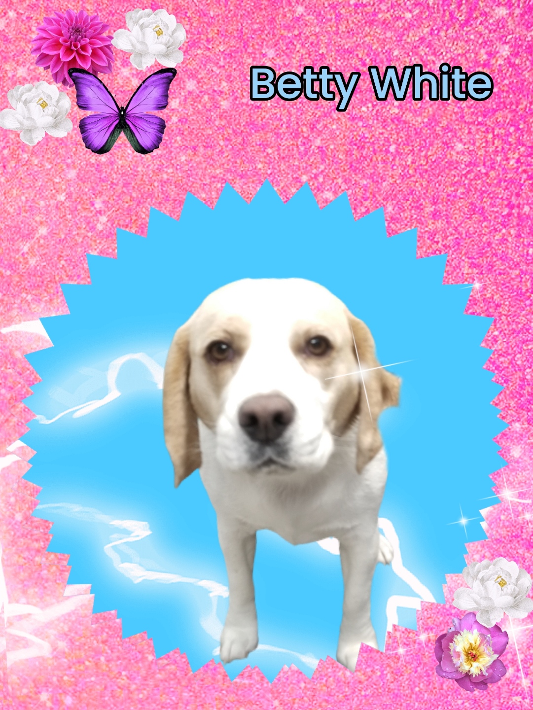 Betty White