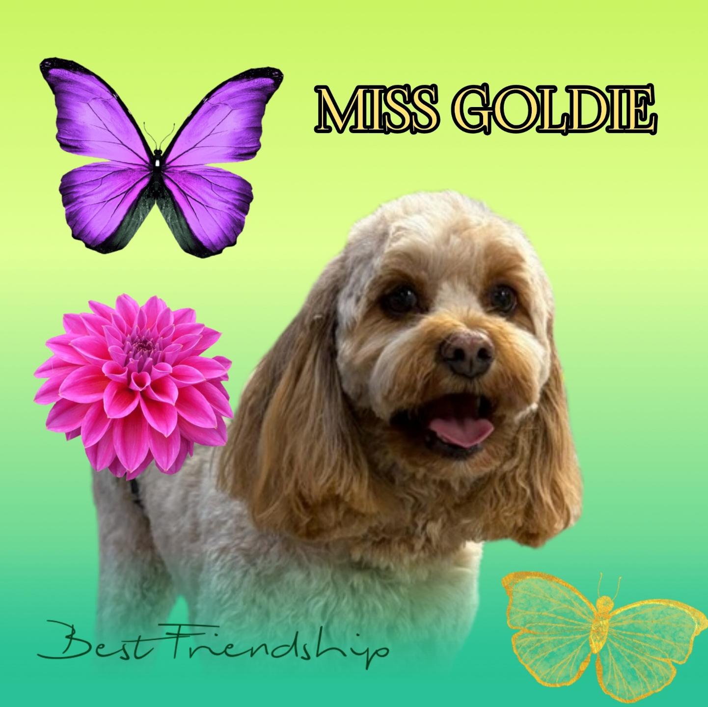 Miss Goldie - Best Friendship