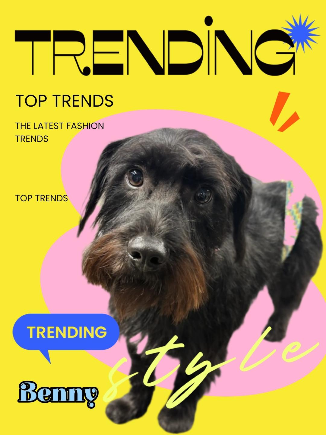 Benny - Trending