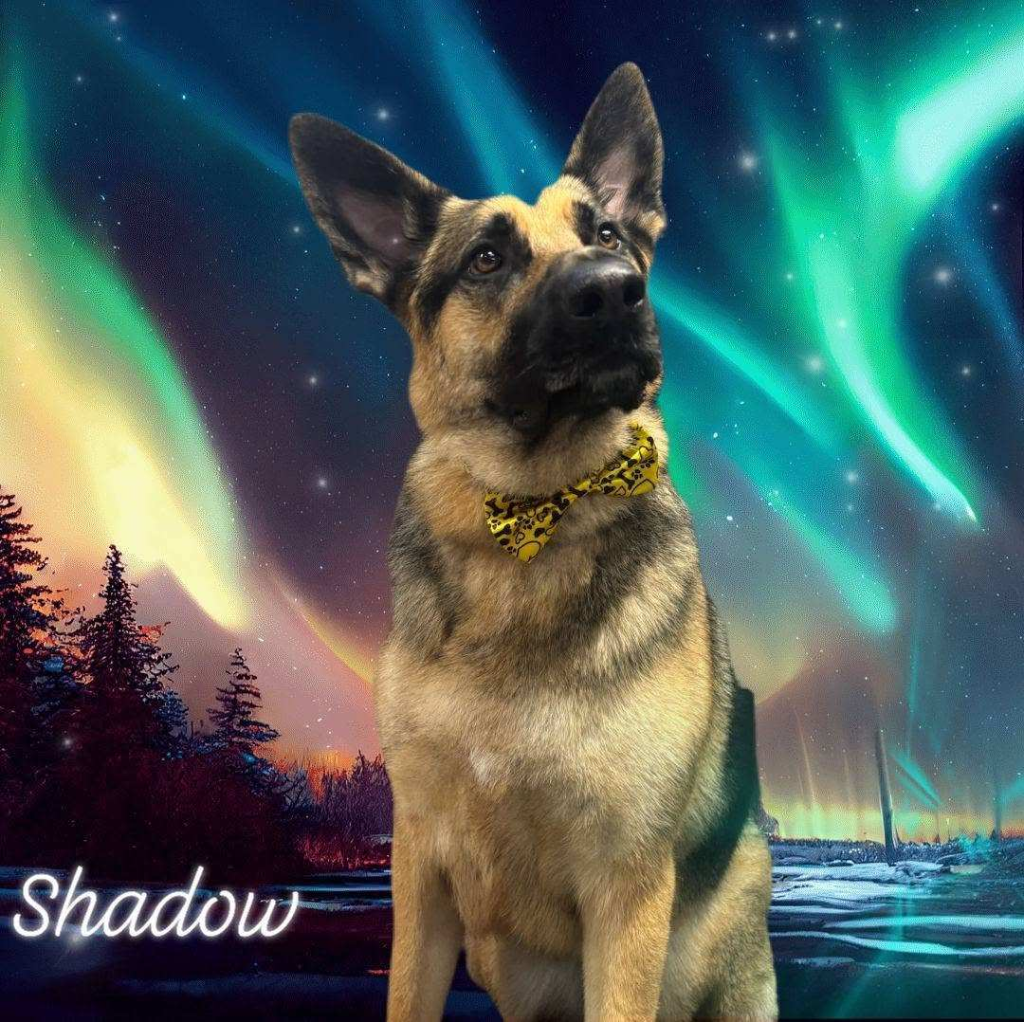 Shadow