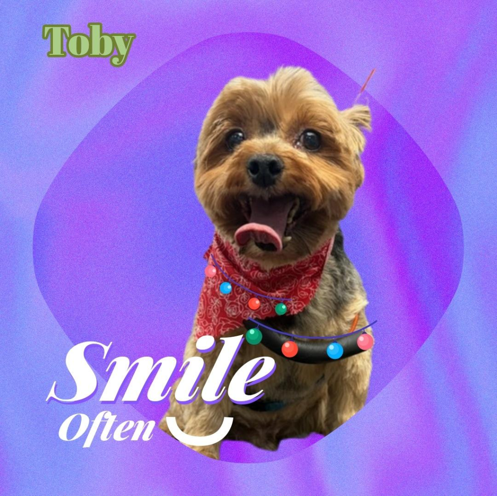 Toby
