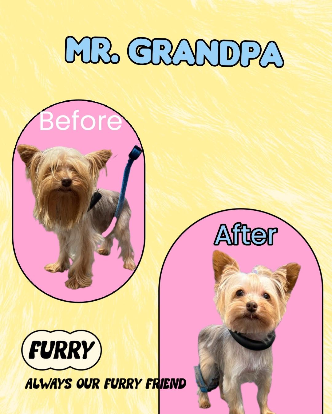 Mr. Grandpa