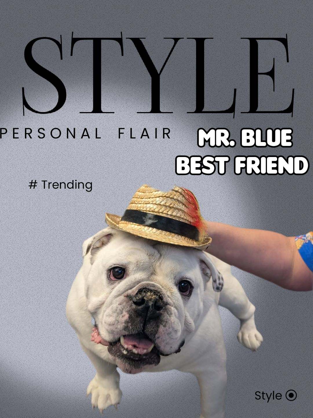 Mr. Blue - Personal Flair
