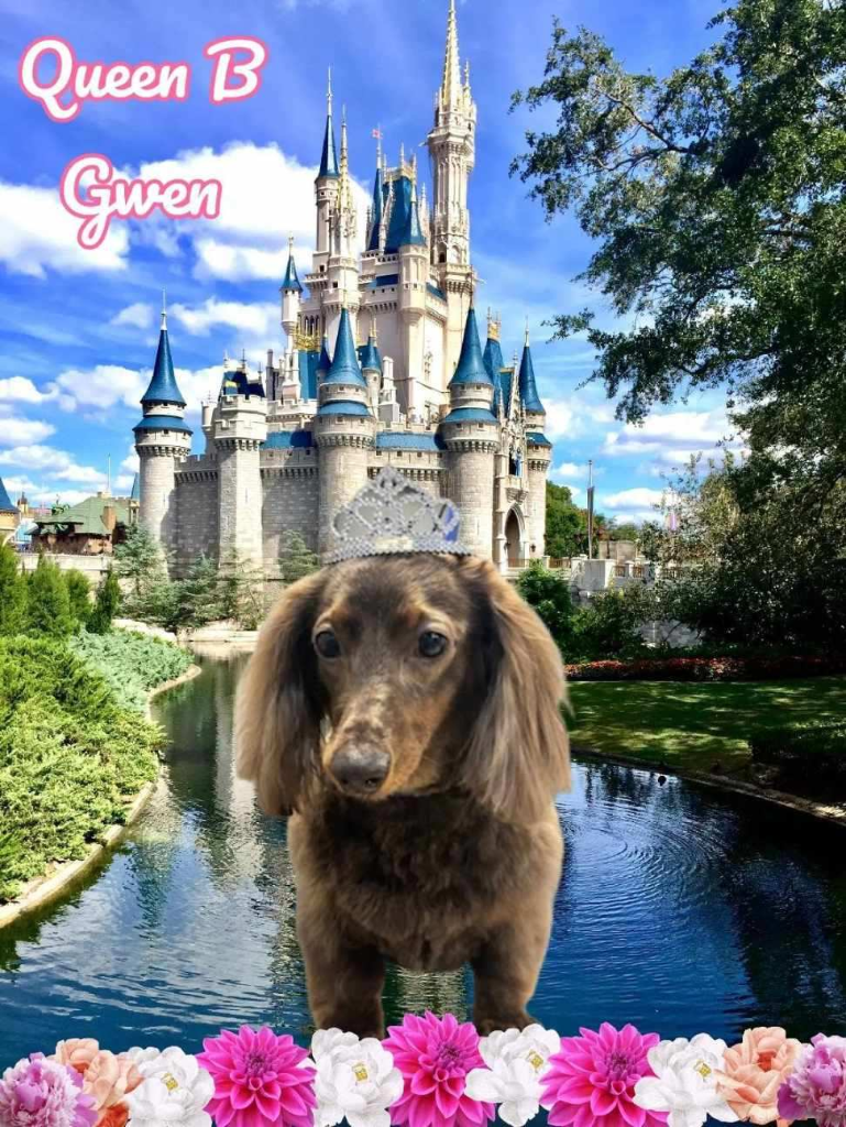Queen B Gwen