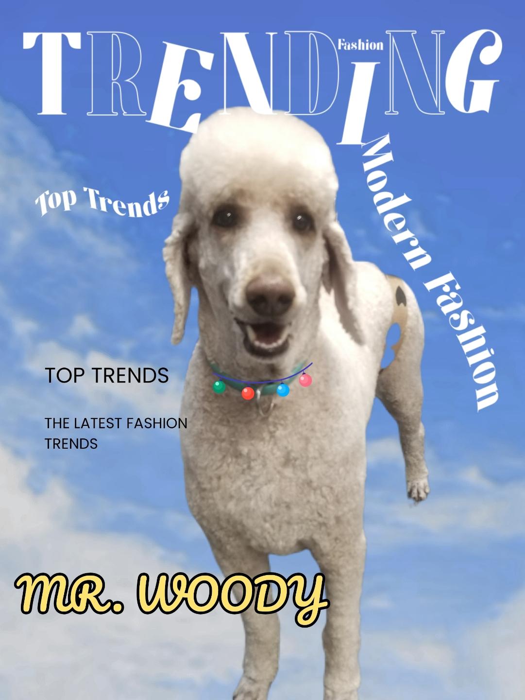 Mr. Woody