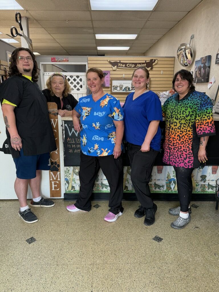 Our amazing team