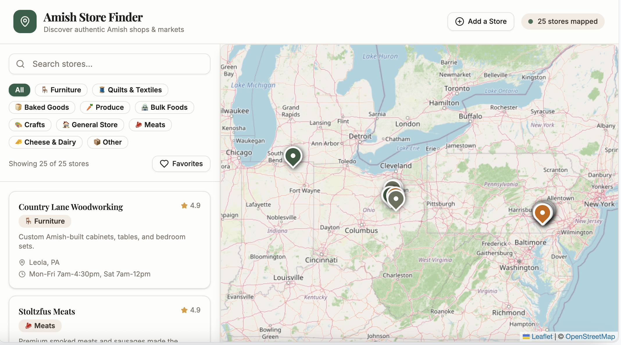 Amish Stores template preview