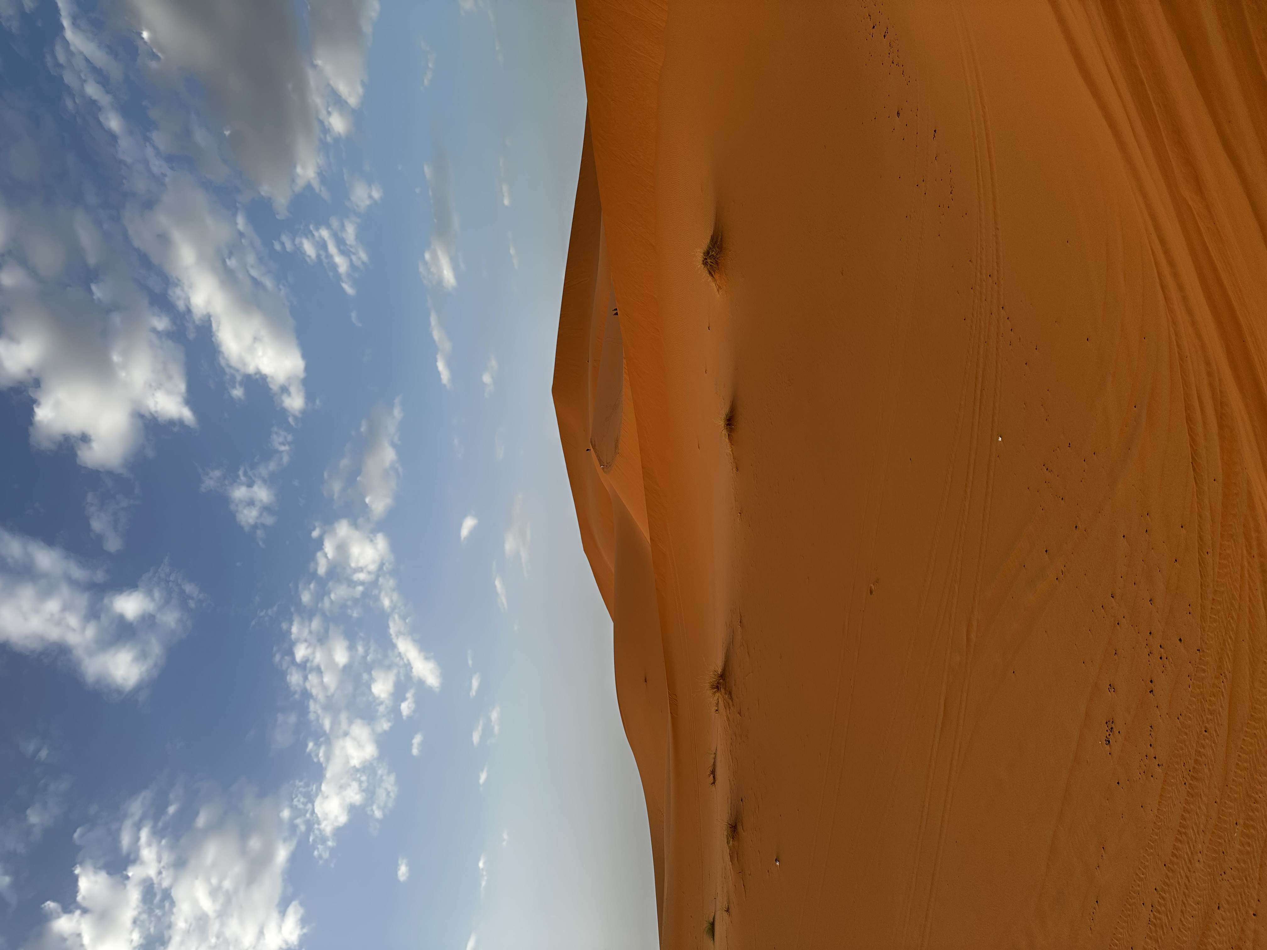 Large sand dune in Erg Chebbi, Sahara Desert