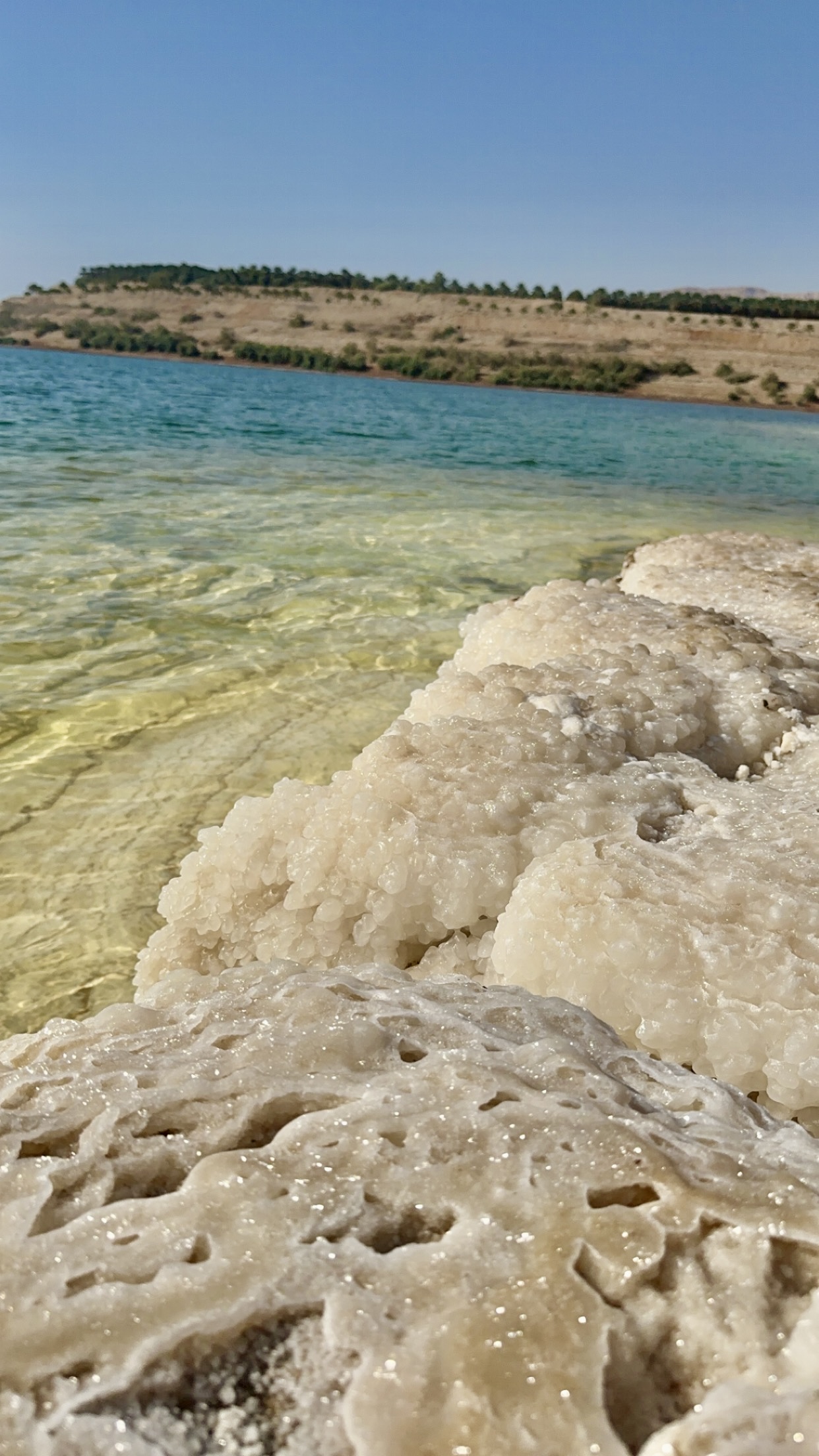 Close-up of crystalline salt deposits at the Dead Sea shoreline