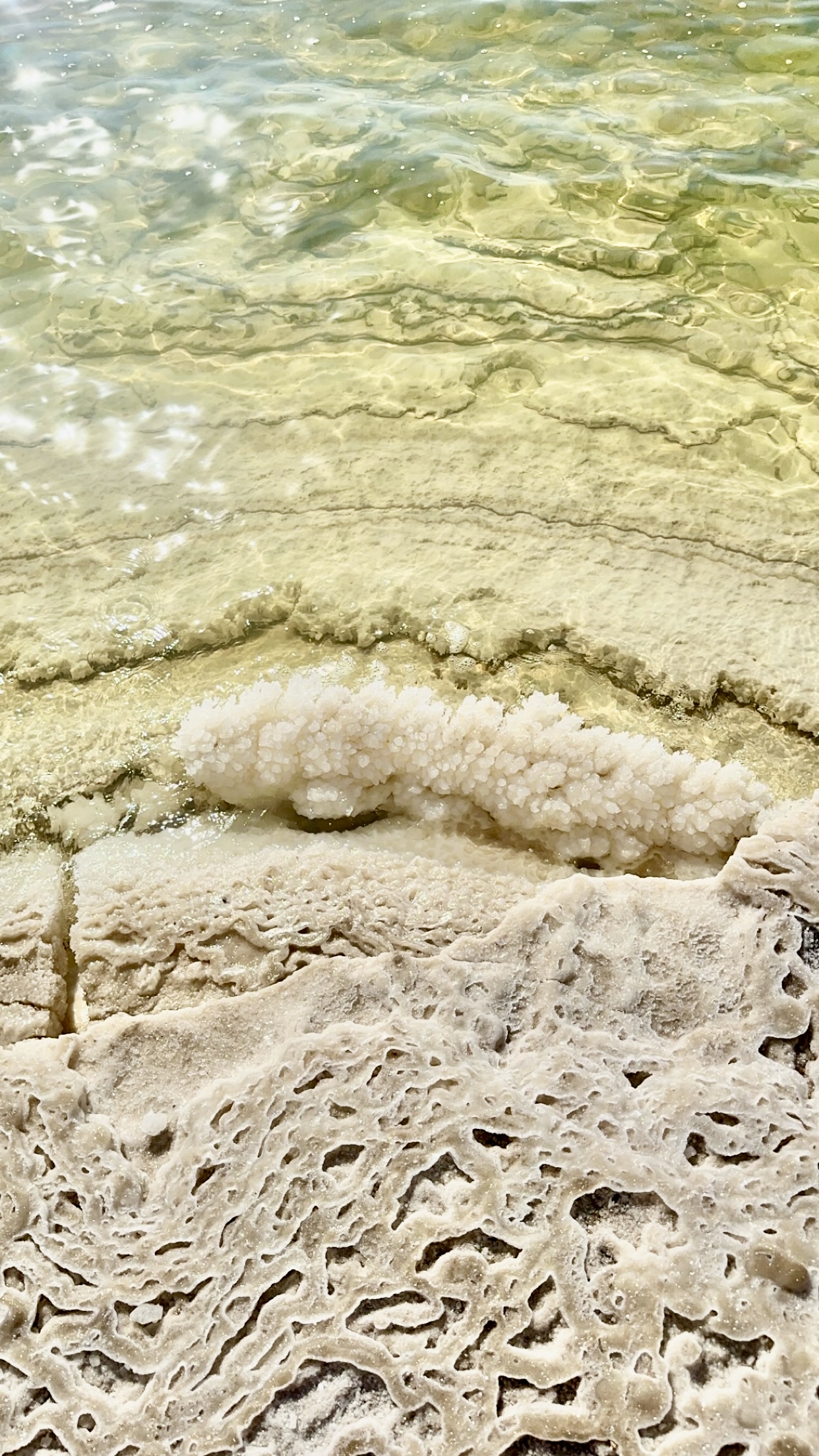 Jagged white salt formations where the Dead Sea meets the shore