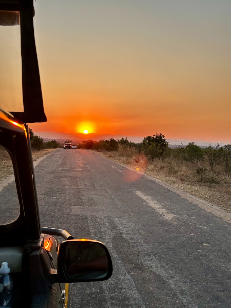 View from inside a safari vehicle looking out onto a dirt road at sunset in Kruger