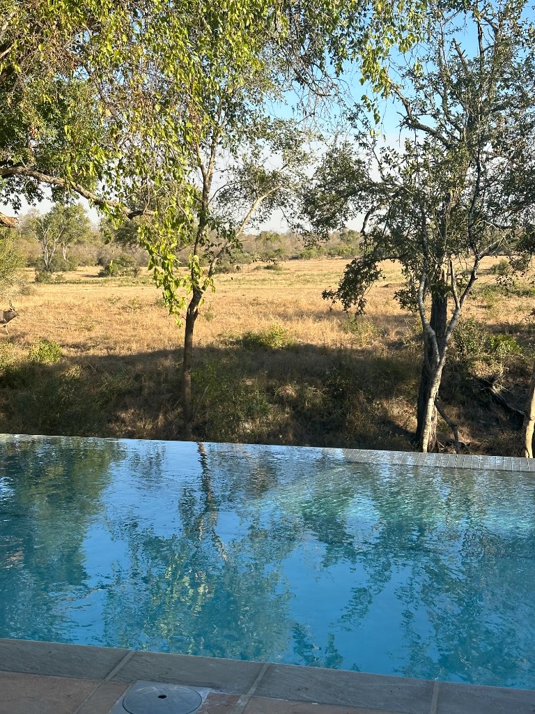 Infinity-edge swimming pool overlooking a dry savanna landscape at a safari lodge