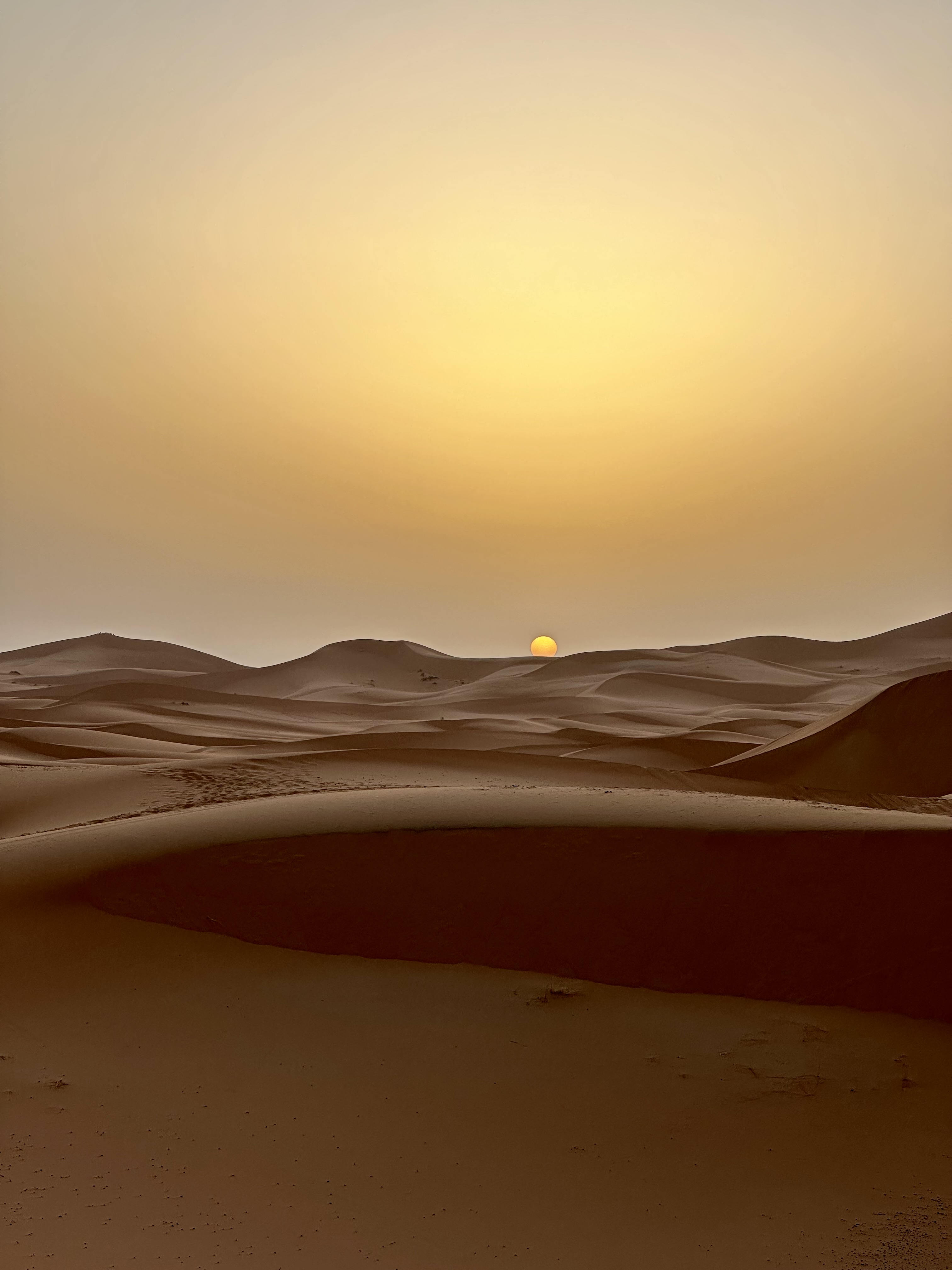 First light breaking over the Sahara dunes at sunrise
