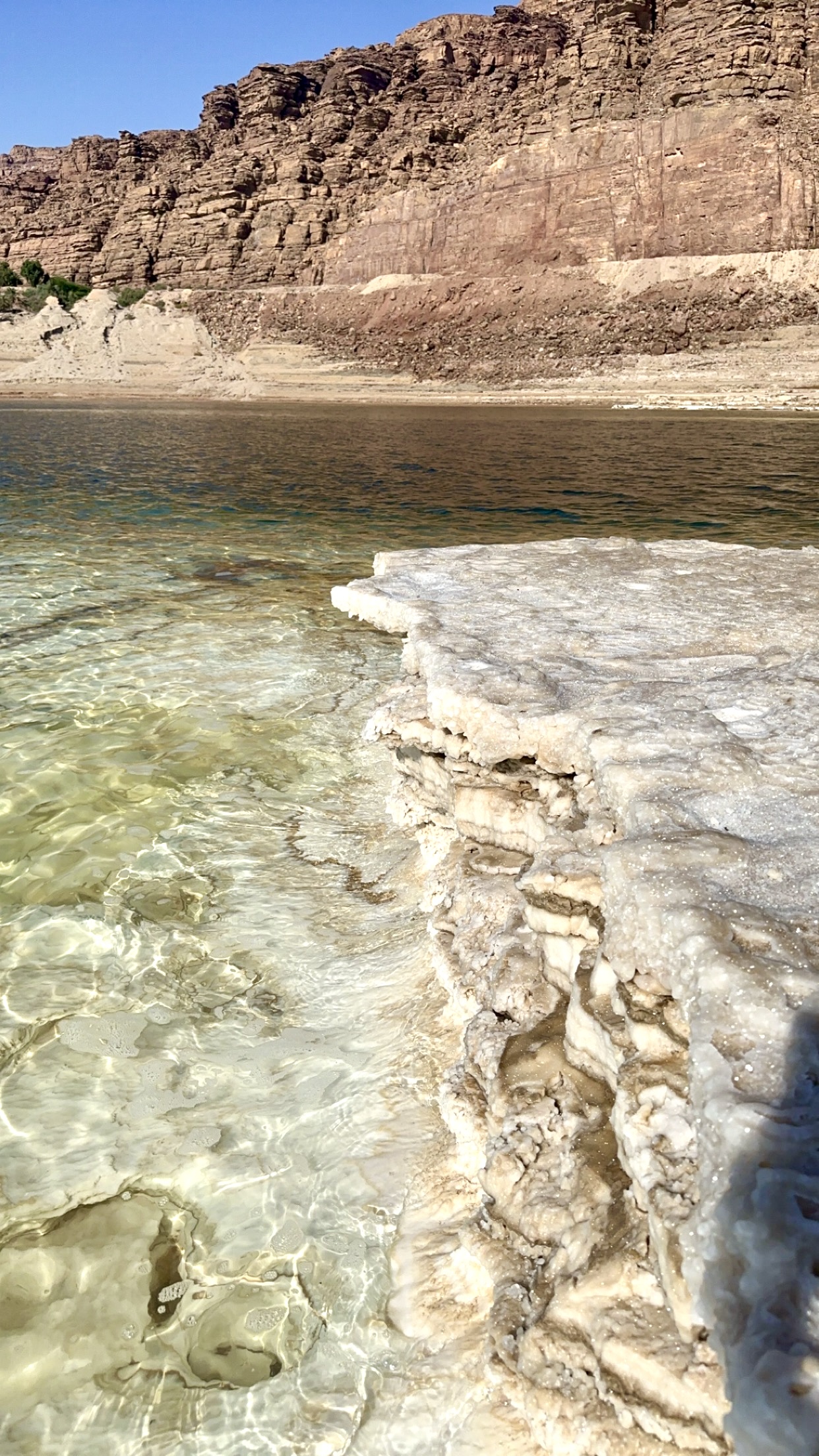 The Dead Sea shoreline with arid desert mountains rising behind it
