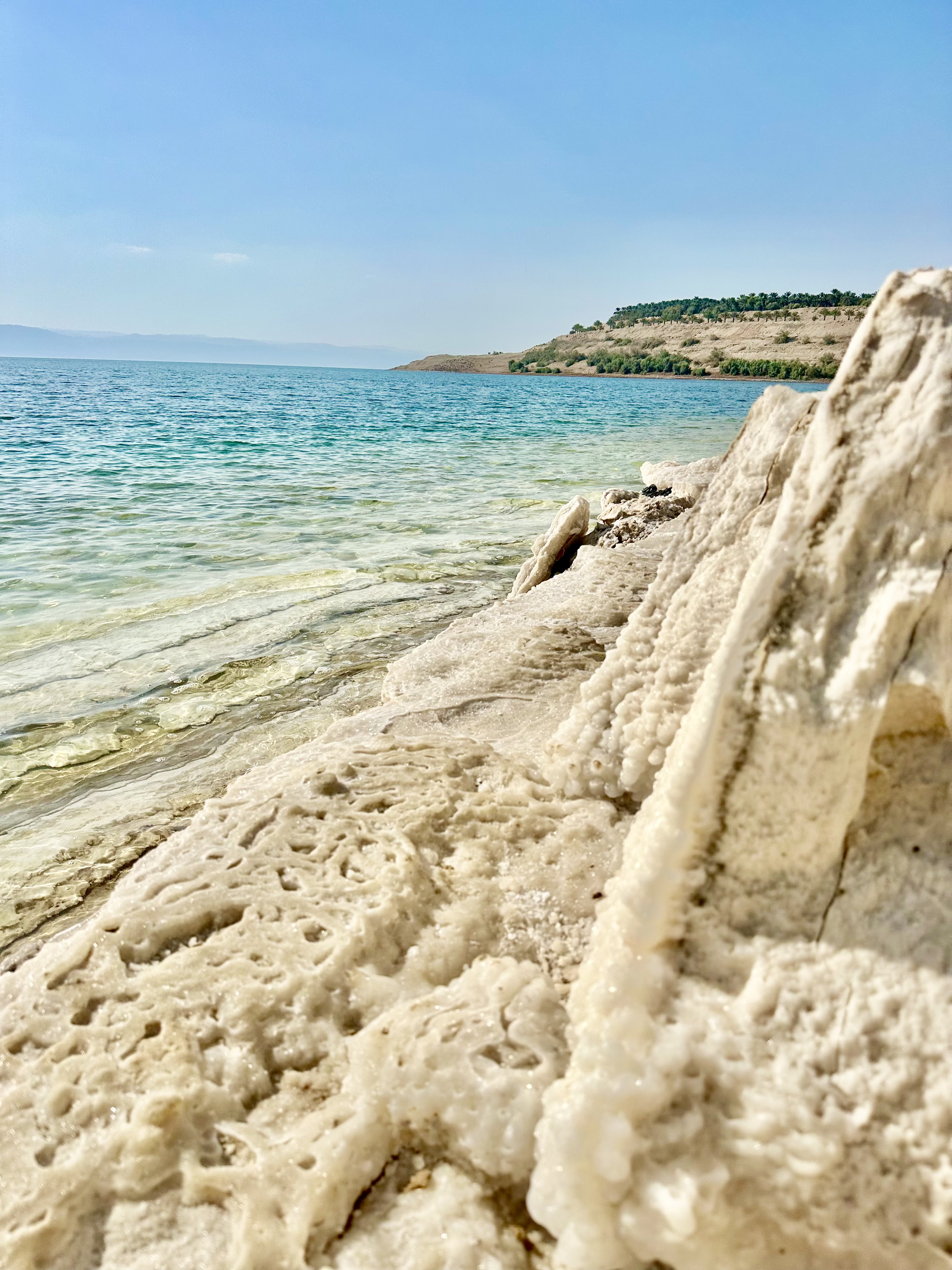 Clear water meeting the salt-encrusted shoreline of the Dead Sea