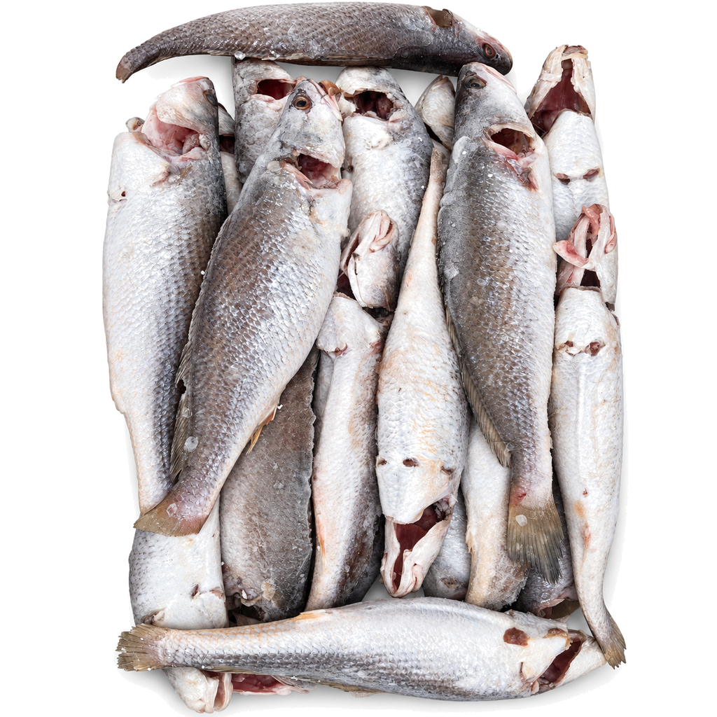 Sosso Fish Box 3kg