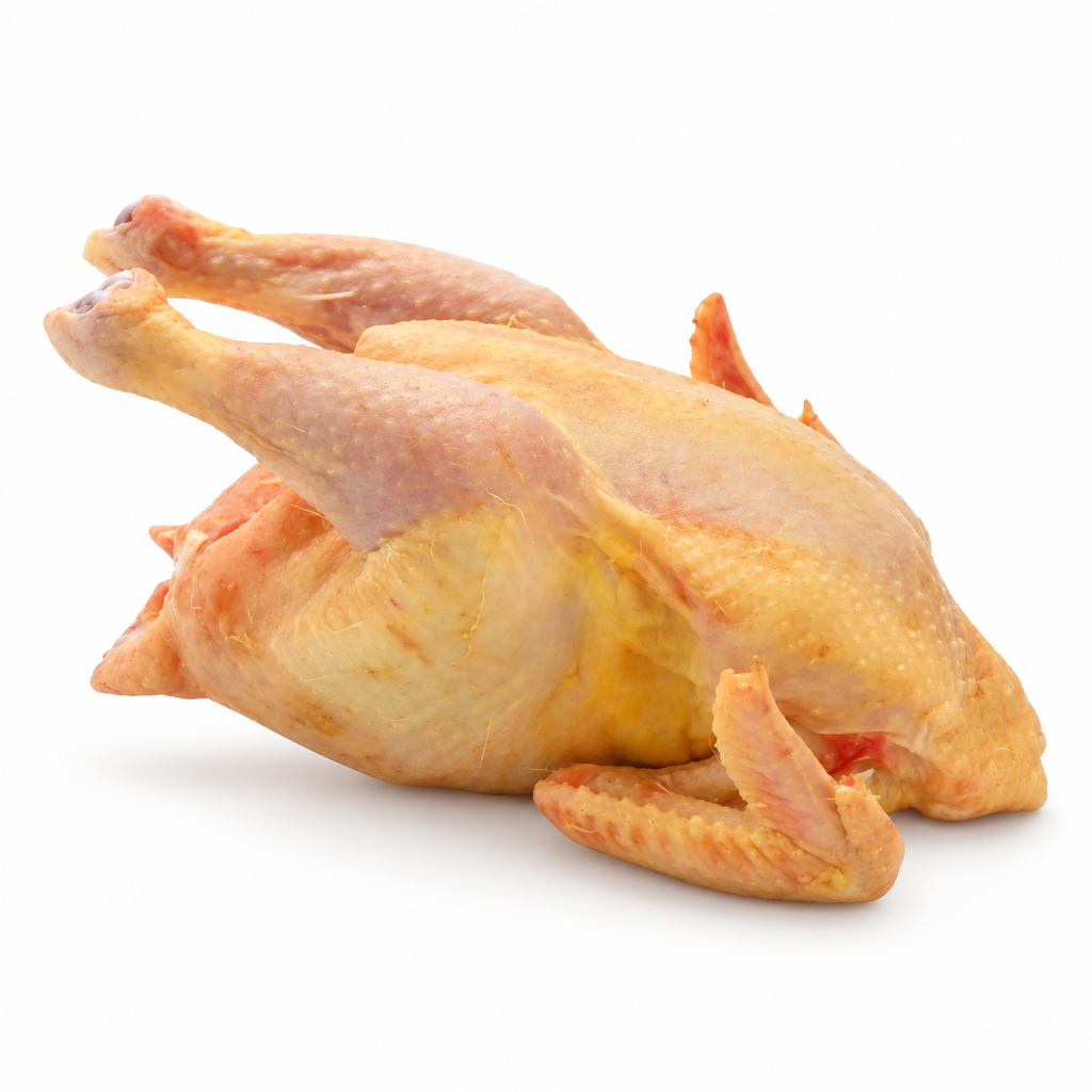Hard chicken - Box